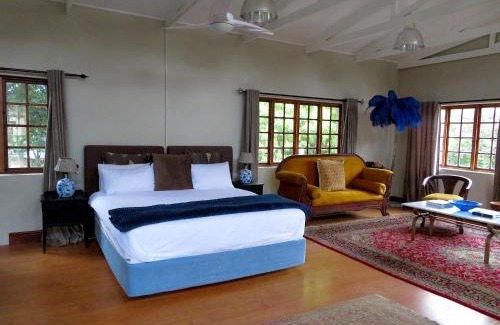 Walmer Apartment | Church Road Apartment