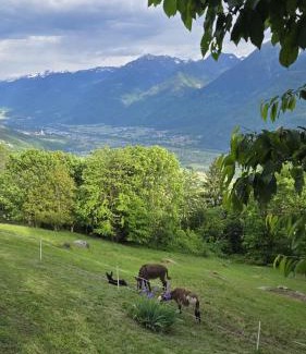 Buglio in Monte Ski Chalet | Ciapin House