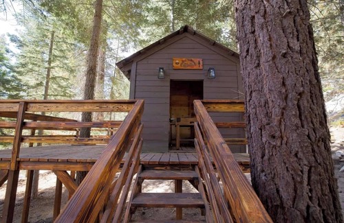 Ponderosa Cabin | Cielo Blanco- First Responder Cabin w Treehouse