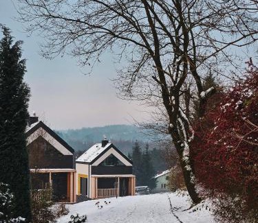 Zabierzow House | Cienista Dolina