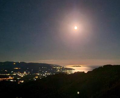 Stella Cilento Bed & Breakfast | Cilento Antico