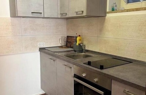 Bad Saeckingen Apartment | City and mountains within easy reach