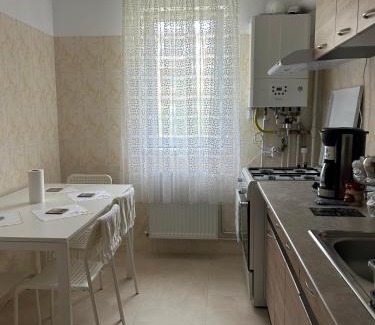 Tirgu Ocna Apartment | City Apartment