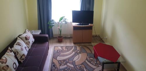 Tirgu Ocna Apartment | City Apartment