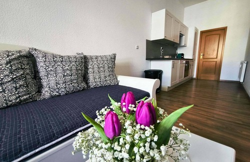 Mühlhausen Apartment | City Apartments Mühlhausen Apartment Paris