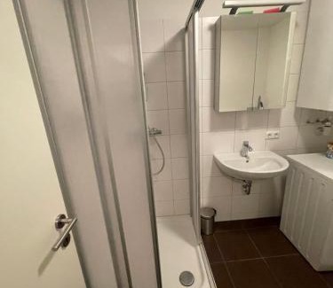 Ried im Innkreis Apartment | City Appartement 4910
