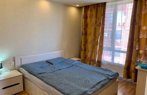 Chingeltei Apartment | City center 1 bedroom apartment7