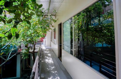Ninh Binh Hostel | City Garden Hostel
