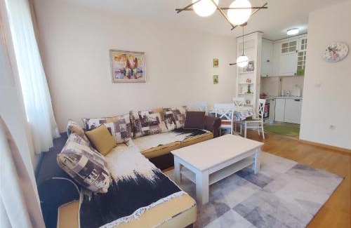 Podgorica Apartment | CITY POINT Apartment