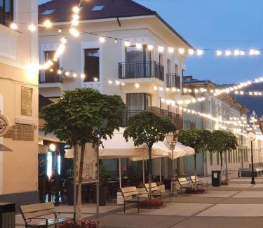 Sighetu Marmatiei Hotel | City Rooms