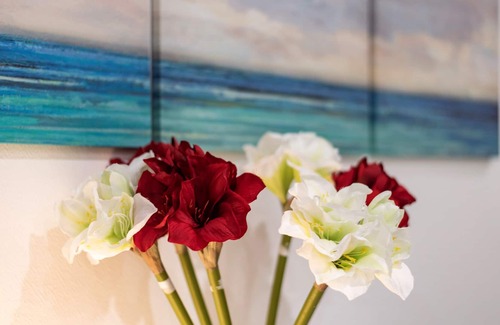 Orangerie Apartment | CityCosy Strasbourg - 1-bedroom Hirtz, CityCosy-Strasbourg: T2 Résidence Hirtz