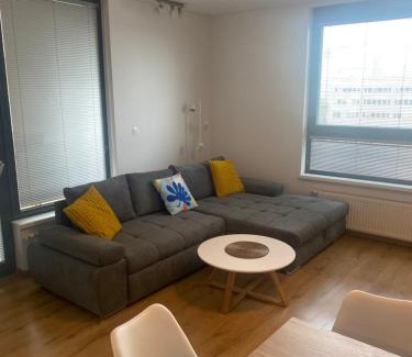 Nivy Apartment | CityPark Apartment, free parking & AC