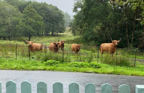 Dalmally Bed & Breakfast | Cladich House Bed & Breakfast