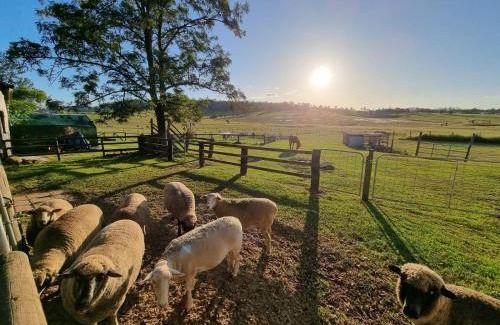 Boyland House | Clandulla Cottages & Farmstay