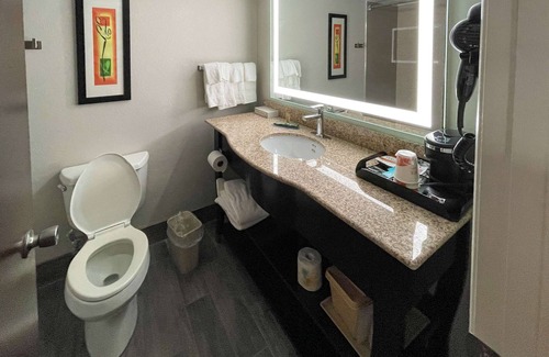 Rock Hill Hotel | Clarion Pointe Near University