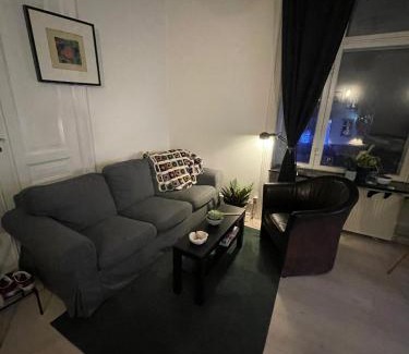 Frederiksberg C Apartment | Classic Brown Stone Apartment