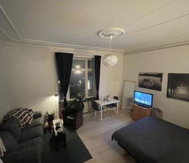 Frederiksberg C Apartment | Classic Brown Stone Apartment