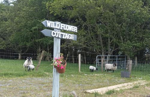 Clifden House | Clifden Wildflower Cottage - Clifden Countryside Lettings