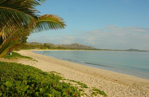 Kailua Apartment | Close to beach, sleeps 2, AC, quiet, private