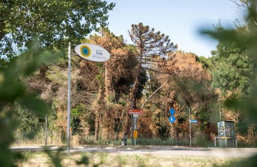 Marina Romea Other | Club del Sole Marina Romea Easy Camping Village