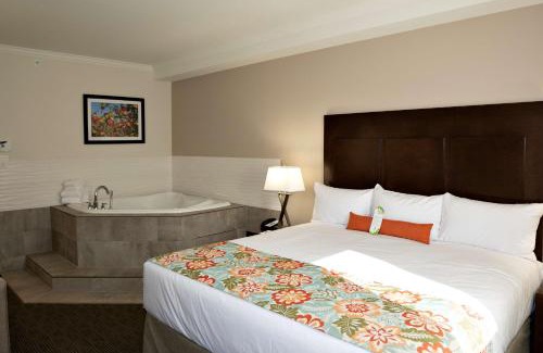 Okanagan-Similkameen Hotel | Coast Oliver Hotel