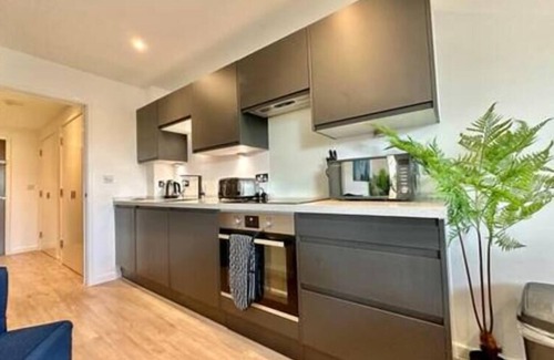 Severn Beach Apartment | Coates House one bed, with SB - Nailsea