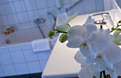 Luxembourg Ardennes Hotel | Cocoon Hotel Belair