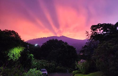 Boquete Hotel | Coffee Estate Inn