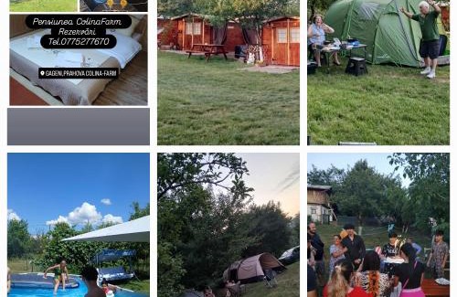 Prahova County Other | colina farm camping