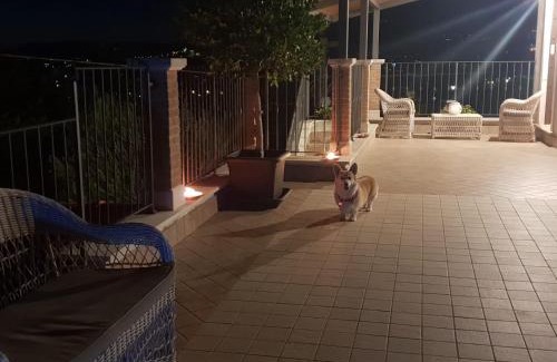 Ripi House | Colle Bellavista