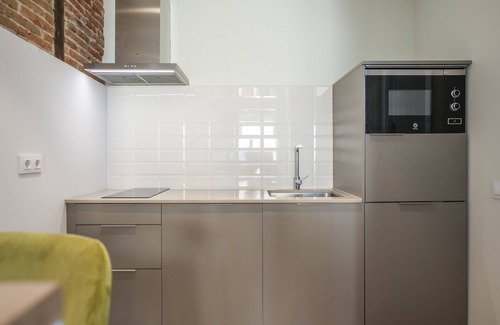 Barrio de La Latina Apartment | Collection La Latina - Studio with terrace in La Latina neighbourhood