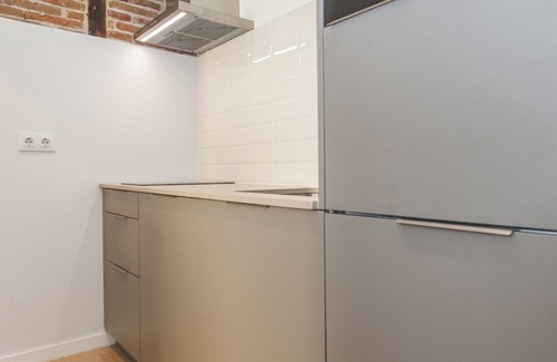 Barrio de La Latina Apartment | Collection La Latina - Studio with terrace in La Latina neighbourhood
