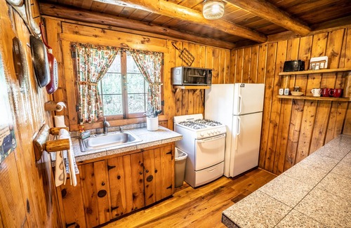 Evergreen Cabin | Colorado Bear Creek Cabin 4