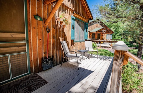 Evergreen Cabin | Colorado Bear Creek Cabin 6
