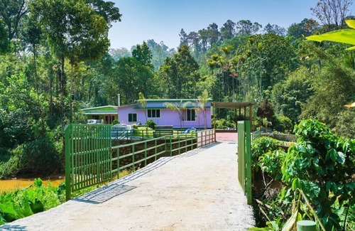Devikolam House | Colorful Facade with greenery Nest Stay