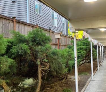 Seattle Hotel | Columbus Motor Inn