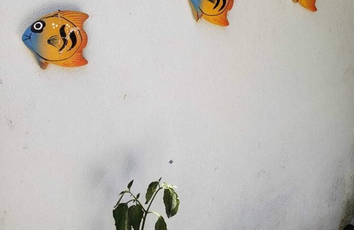 Santa Cruz do Escalvado House | Come meet the natural beauties of our city!