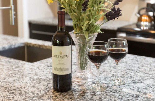 Kenilworth Ski Chalet | Come to Asheville! Treetop Mountain Views In Downtown AVL - FP, Dog Friendly!