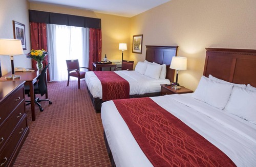 Terra Nova Hotel | Comfort Hotel Airport
