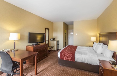 Terra Nova Hotel | Comfort Hotel Airport