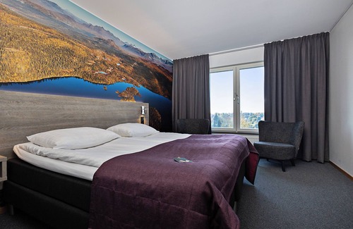Centrala Stan Hotel | Comfort Hotel Umea City