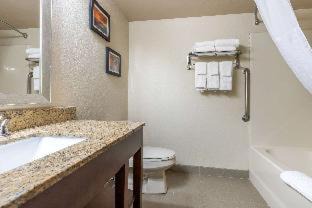 Skyland Hotel | Comfort Inn Asheville Airport