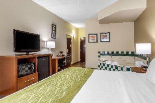 Skyland Hotel | Comfort Inn Asheville Airport