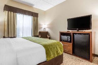 Skyland Hotel | Comfort Inn Asheville Airport