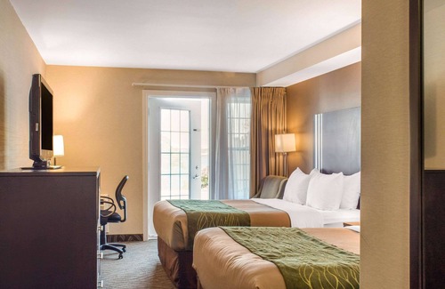 Halifax Hotel | Comfort Inn