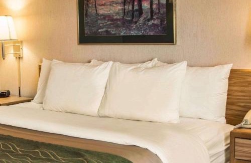 Charlotte Hotel | Comfort Inn Charlotte