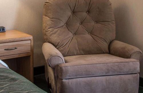 Charlotte Hotel | Comfort Inn Charlotte