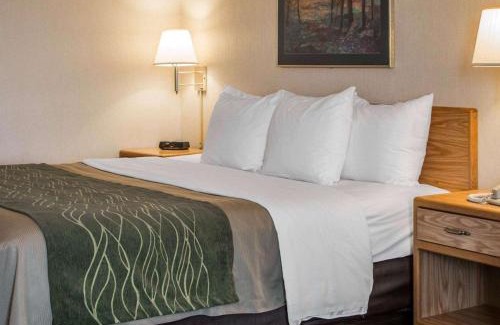 Charlotte Hotel | Comfort Inn Charlotte