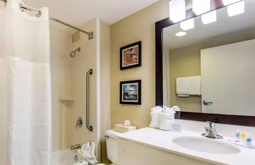 Calverton Hotel | Comfort Inn College Park North