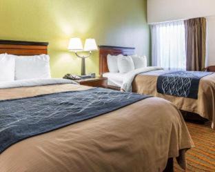Conyers Hotel | Comfort Inn Conyers